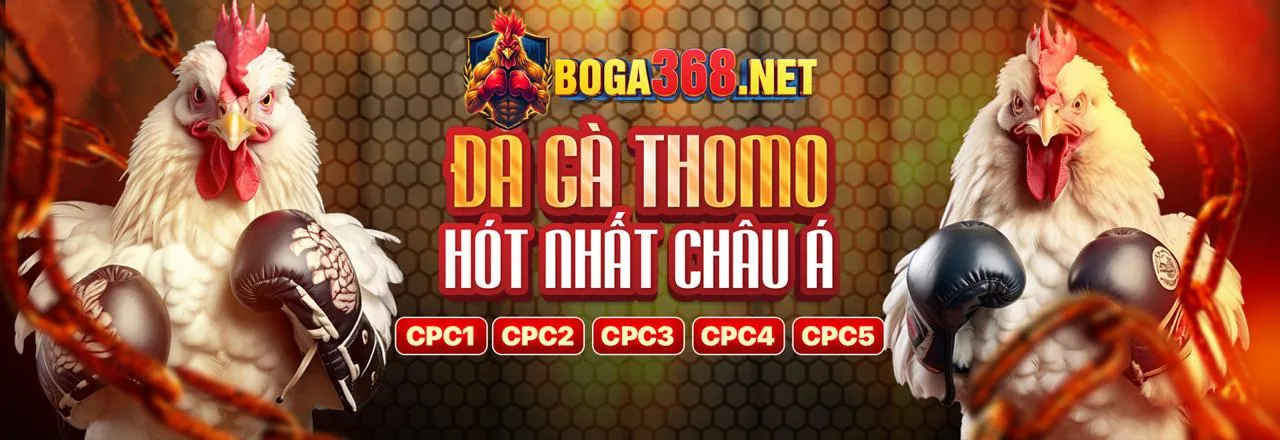 Giao diện cá cược thể thao trực tiếp King52