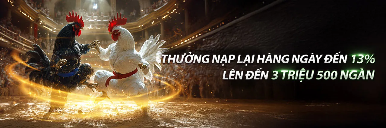 Sân vận động với ánh đèn rực rỡ và biểu tượng cá cược thể thao King52